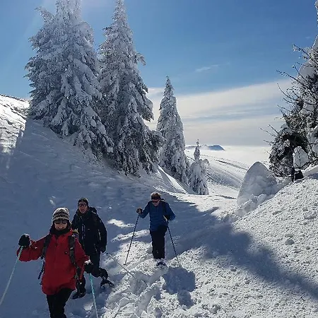Tatil parkı Le Pre Du 4*