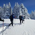 Le Pre Du Aldeamento Turístico