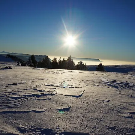 Le Pre Du 4* Saint-Jorioz